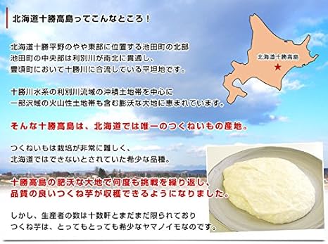 Amazon 産直だより 北海道十勝 つくねいも 3キロ 産直だより 野菜 通販