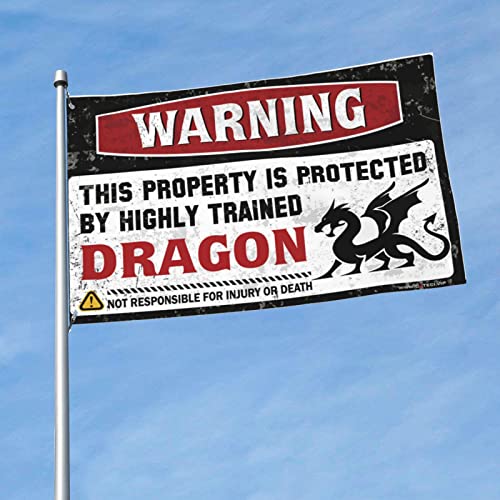 Drapeau de dortoir dragon haute définition pour chambre moderne