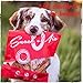 SnackOMio – Premium Hundesnack – zarte Hühnerbrust Filetstreifen, getreidefrei, 1er Pack (1 x 70g)