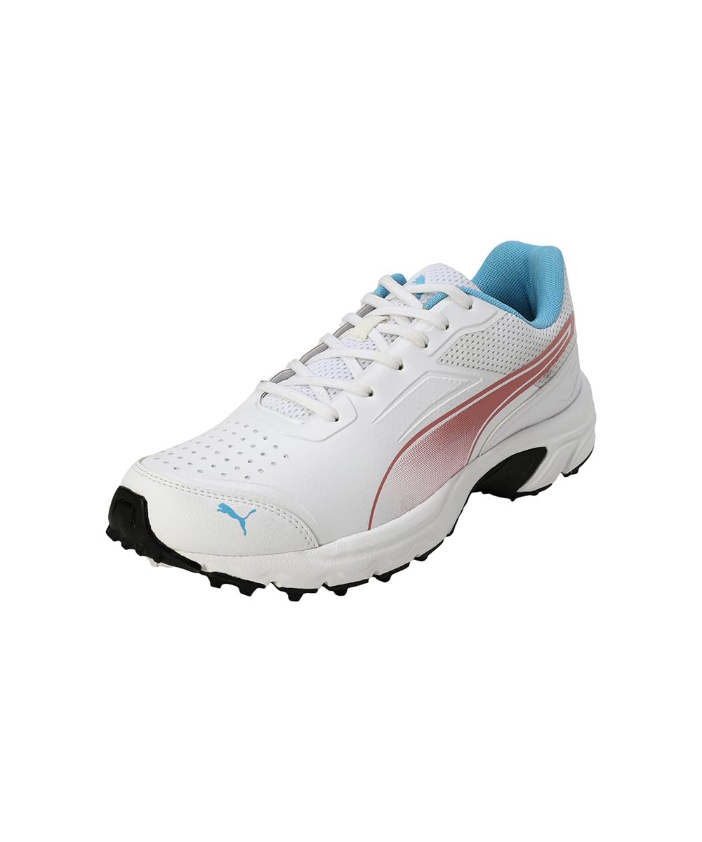 puma Mens Cricket Power 2.0 Cricket Shoe-picture-31