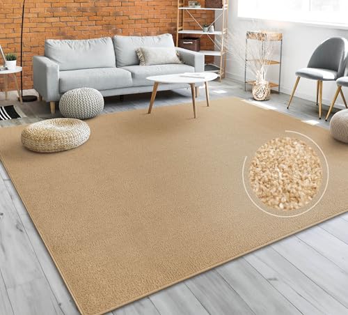 Paco Home Tapis Salon Uni Sobre Et Moderne Poils Ras, Diff. Tailles/Coloris, Dimension:200 cm carré, Couleur:Or