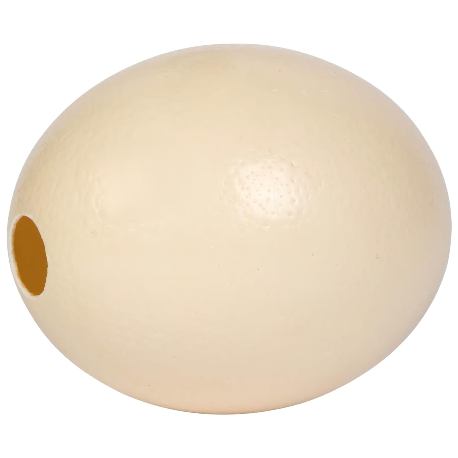 Cáscara de huevo de avestruz natural para arte y tallar, 6.3 pulgadas de alto, 5.3 pulgadas de ancho, color crema, carcasa texturizada suave, ideal para decoración del hogar de lujo y