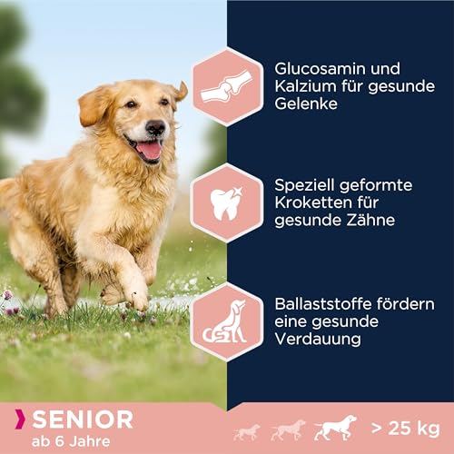 Eukanuba Hundefutter mit Lamm & Reis für große Rassen - Trockenfutter für Senior Hunde, 12 kg
