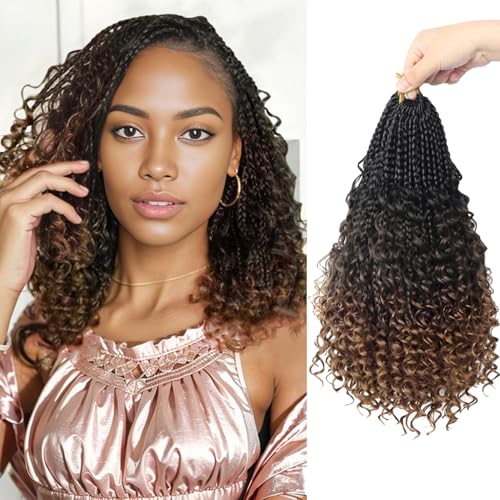 Boho Braids Crochet Hair Pre Looped 10 Inch -...
