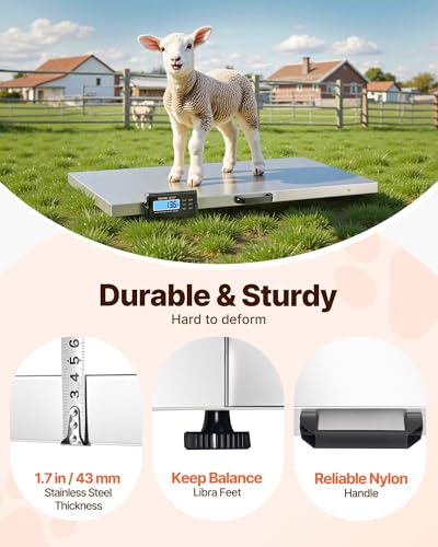 vevor 880lbs x 02lbs livestock scale shipping scales large platform 406x209inch stainless steel vet scale industrial floor scale large animal dog pig scale goat weight scale pet digital scale