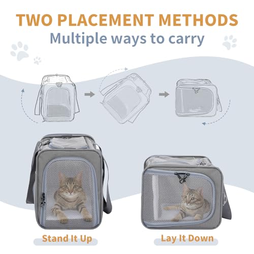 Petsfit Transporttasche Katze & Hundetasche Flugzeug | Flugtasche für Hunde & Transportbox Katze | Flugtaugliche Haustiertasche | Sicherer Transport in Auto, Flugzeug und Bahn, S/Grau