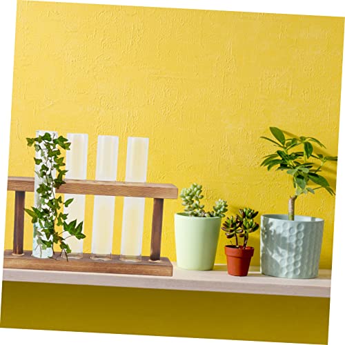 Decoración moderna para plantas acuáticas en jarrón de vidrio 5