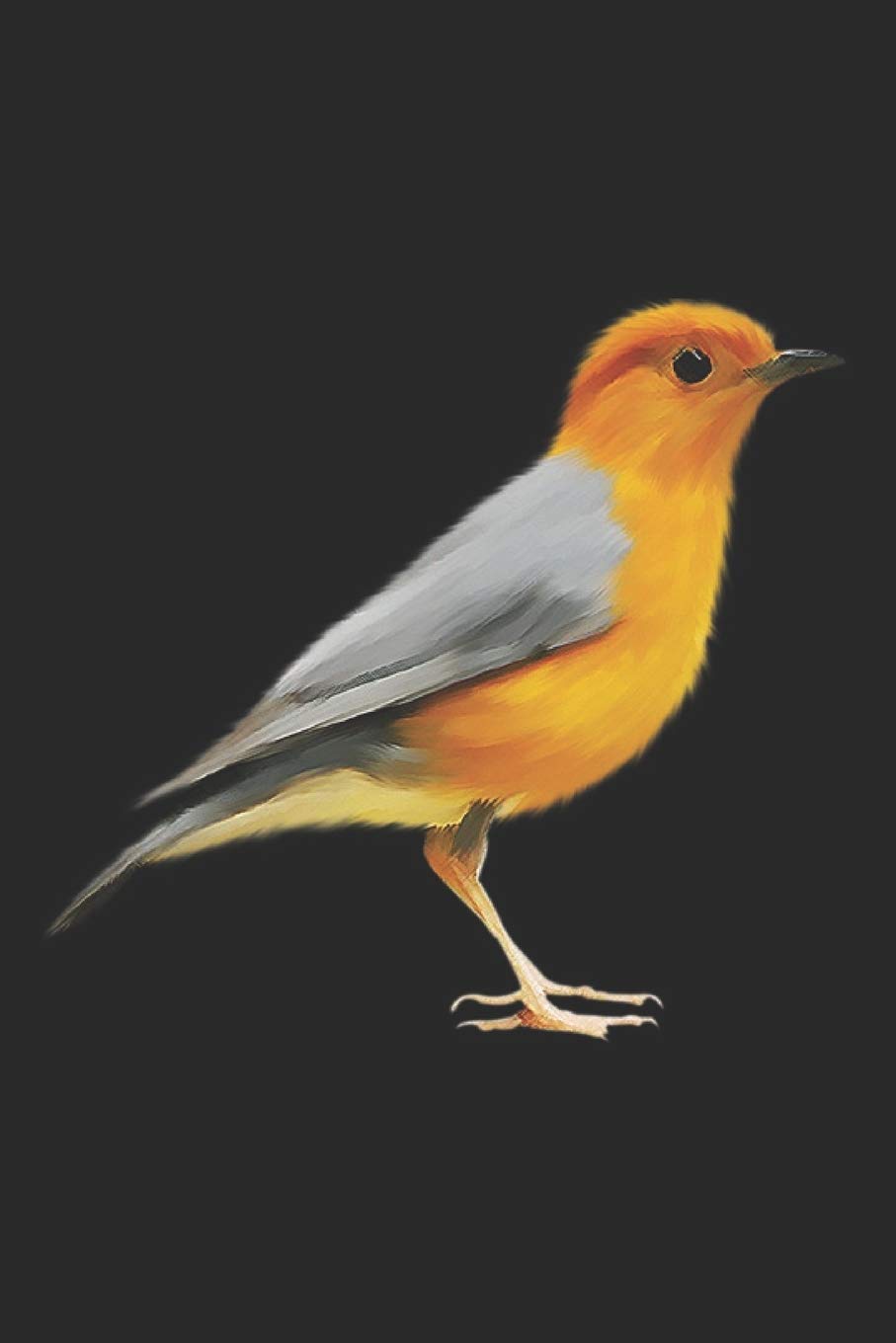 BIRDS NOTEBOOK
