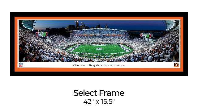 Amazon.com: Cincinnati Bengals White Out Football - Unframed 40 x