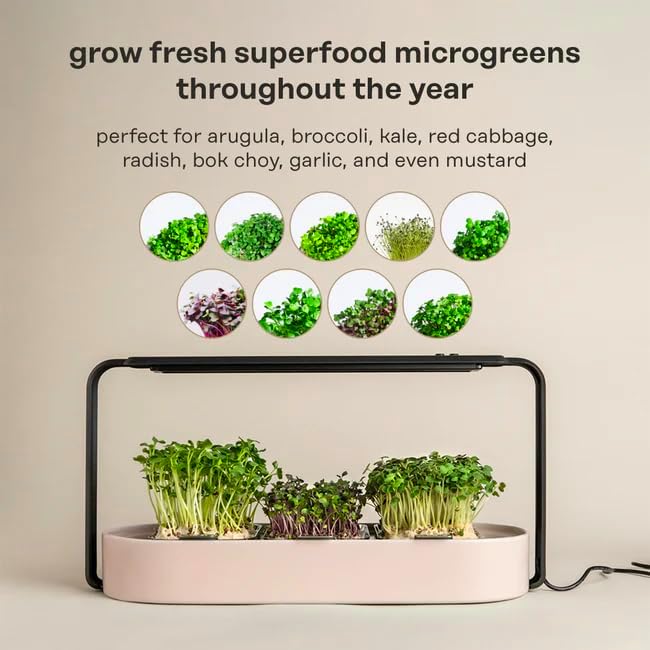 Miniatura 9 de ingarden Microgreen Superfood - Almohadillas de semillas de col rizada - Densas en nutrientes  Orgánico certificado por USDA  Cultivado en 1 semana