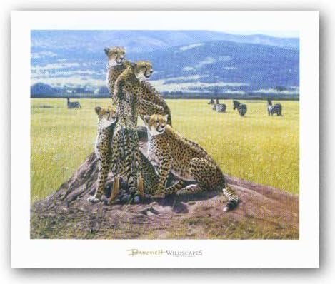 McGaw Graphics Cheetah Watch by John Banovich 22"x28" Art Print Poster