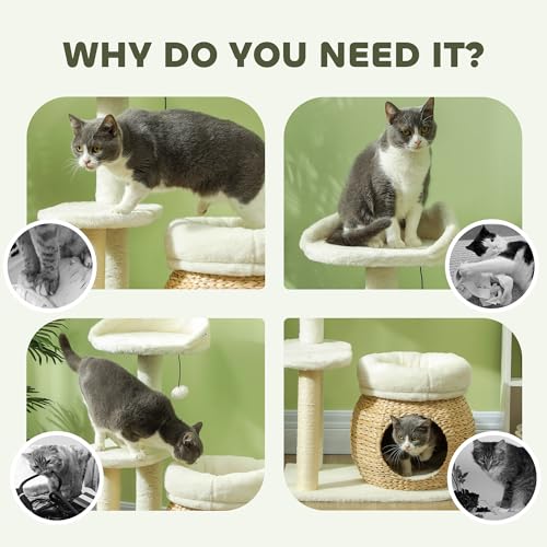 Árbol para gatos interior con postes de sisal y cama miniatura 5