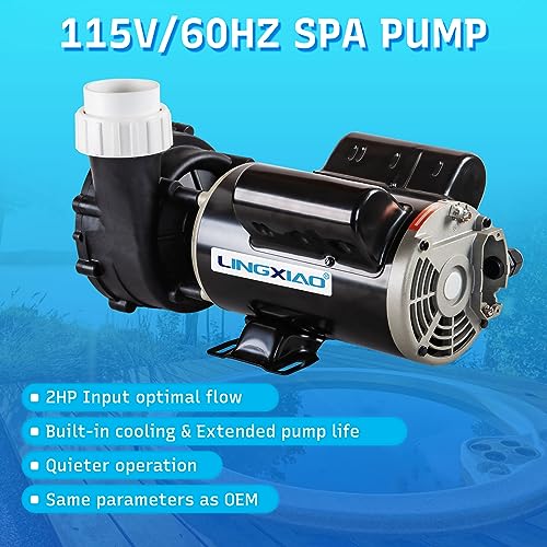 Image of 2HP SPA Pump - 2 Speed LX Pump Motor 115V /60HZ, 2 inch Port - 48 Frame