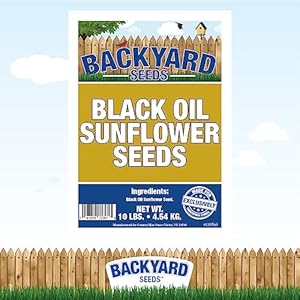 CountryMax Backyard Seeds Black Oil Sunflower (10 Pounds) CountryMax Backyard Seeds Black Oil Sunflower 10 Pounds