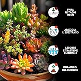 Zoom IMG-1 zoma vulc lapillo vulcanico per Zoom IMG-1 zoma vulc lapillo vulcanico per