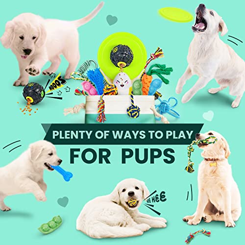 SHARLOVY Dog Chew Toys for Puppies Teething, Puppy Toys 16 Pack Dog Toys for Aggressive Chewers Puppy Chew Toys Peas… - Image 3