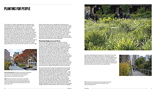 Naturalistic Planting Design - Image 2