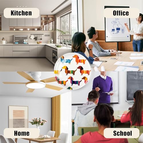 6 Piezas Imanes de Vidrio Decorativos para Refrigerador miniatura 6