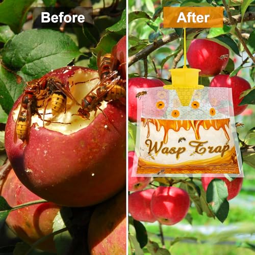 Stingmon 6 Pack Disposable Wasp Traps Outdoor Hanging Yellow Jacket Trap Carpenter Bee Traps For Outside Wasp And Hornet Traps Catcher Killer For Fly thumb #2