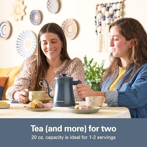 Image of Hamilton Beach Compact 20 oz. / 0.6 Liter Gooseneck Electric Kettle | Boiling Water, Pour Over Coffee, Tea | 1200 Watts | Auto Shutoff | Stainless Steel BPA-Free Interior | Kitchen Makeover Blue