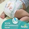 Pampers Baby Dry Diapers Size 2, 228 Count