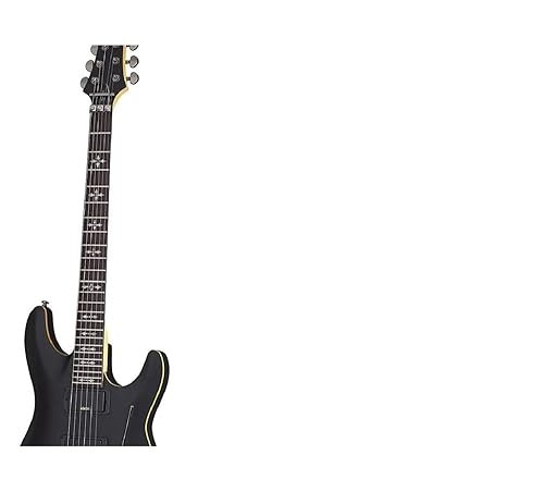 Amazon.com: Schecter 3661 Solid-Body Electric Guitar, Aged Black