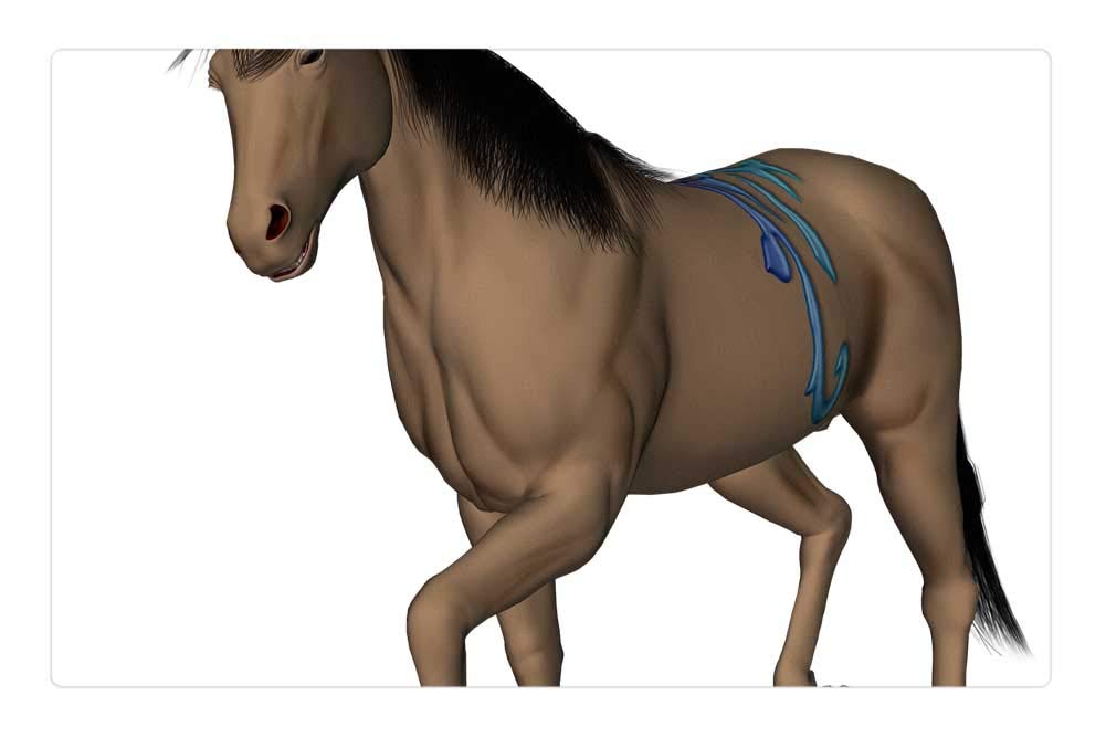 LESGAULEST Doormat Floor Rug/Mat (23.6 x 15.7 inch) - Unicorn Horse Fantasy Creature Fairytale Horn