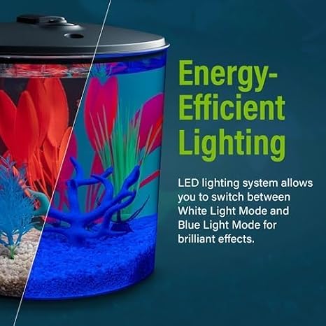 GloFish 3.5 Gallon Aquarium Kit with LED Lighting and Tetra Whisper Filter