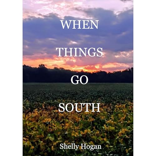 WHEN THINGS GO SOUTH (By Shelly Hogan) episode artwork