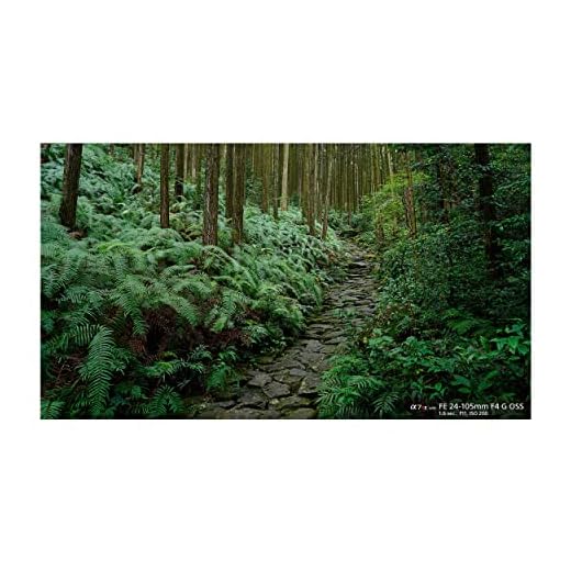 Sony FE 24-105mm F4 G OSS Zoom Lens