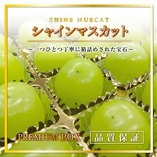 Amazon.co.jp: シャインマスカット 20粒 3Lサイズ プレミアムボックス