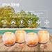 Nevlers 2.5 lbs 4 Pack Natural Himalayan Salt Tea Light Candles Holder | Great Room Decor