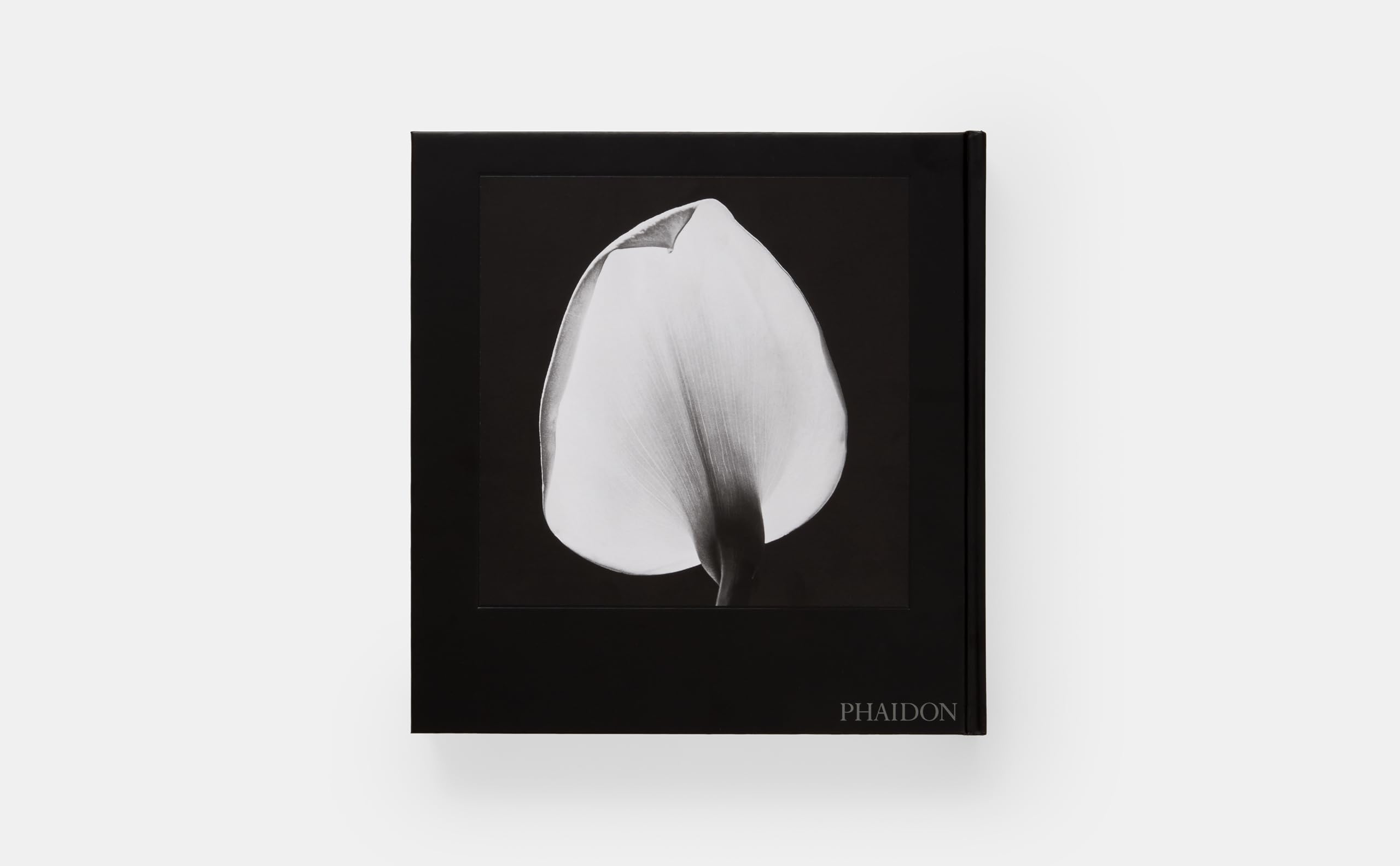 Robert Mapplethorpe. Flora. The complete flowers