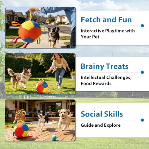 ZRW Calming Jumbo Ball for Dogs,Herding Ball for Dogs,Durable Tear-Resistant Inflatable Big Ball,Resistant Inflatable Big Ball with Handle Cover & Pump for Play & Exercise Dogs-(9.84in) by ZRW - Image 4