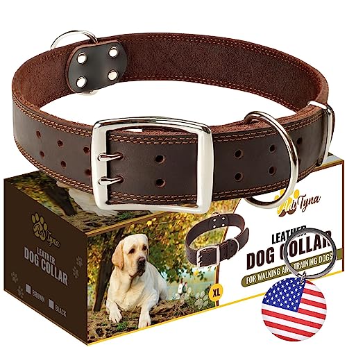 ADITYNA XXL Leather Dog Collar