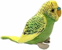 【季節外れの為売り切りセール♪】ハンドメイド　セキセイインコ　BIG ぬいぐるみ Amazon.co.jp: 太洋産業貿易 ﾇｲｸﾞﾙﾐｾｷｾｲｲﾝｺ(ｸﾞﾘｰﾝ) : おもちゃ