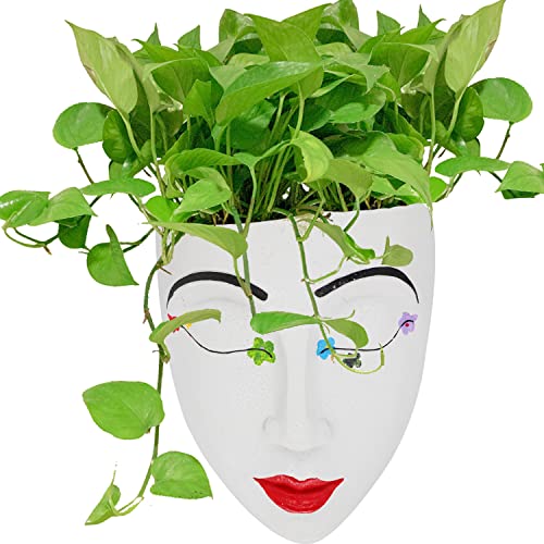 Wall Mounted Face Planter Pot Head Planter For Wall Decor With Drainage, Resin Unique Holder Funny Cute Planter Boho Chic Face Flowers Pots For Indoor Outdoor Plants Succulent Cactus (Boho) #TOP5