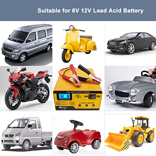 Etrogo Caricabatterie al Piombo 12V/6V 10A