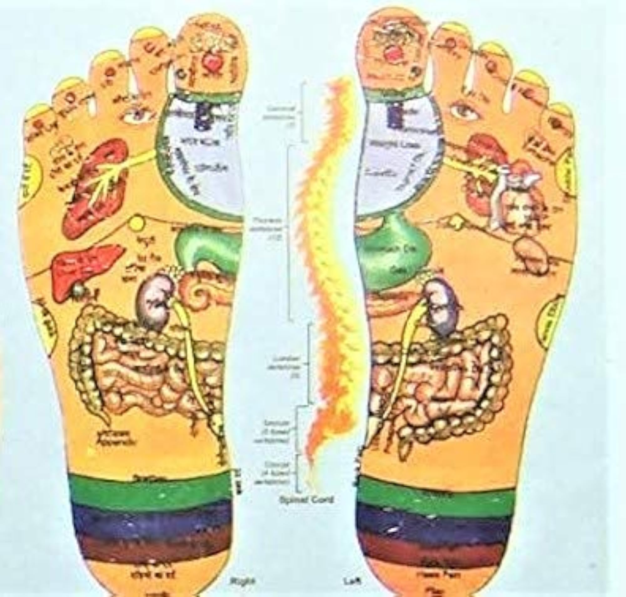 Acupressure Massager for Home