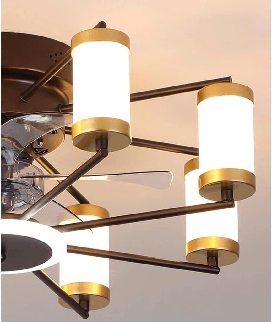 Fan Light Cage Style Ceiling Fan with Light and Remote Control, Living Room Bedroom Ceiling Fan Light Dimmable 3 Color 6 Wind Speeds Ceiling Fans with Lights(C-White)