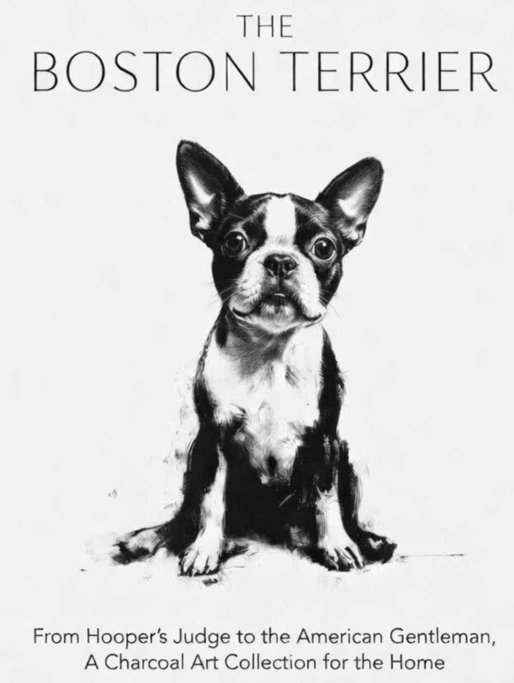 Art fusain Boston Terrier collection de prestige pour decoration d'interieur