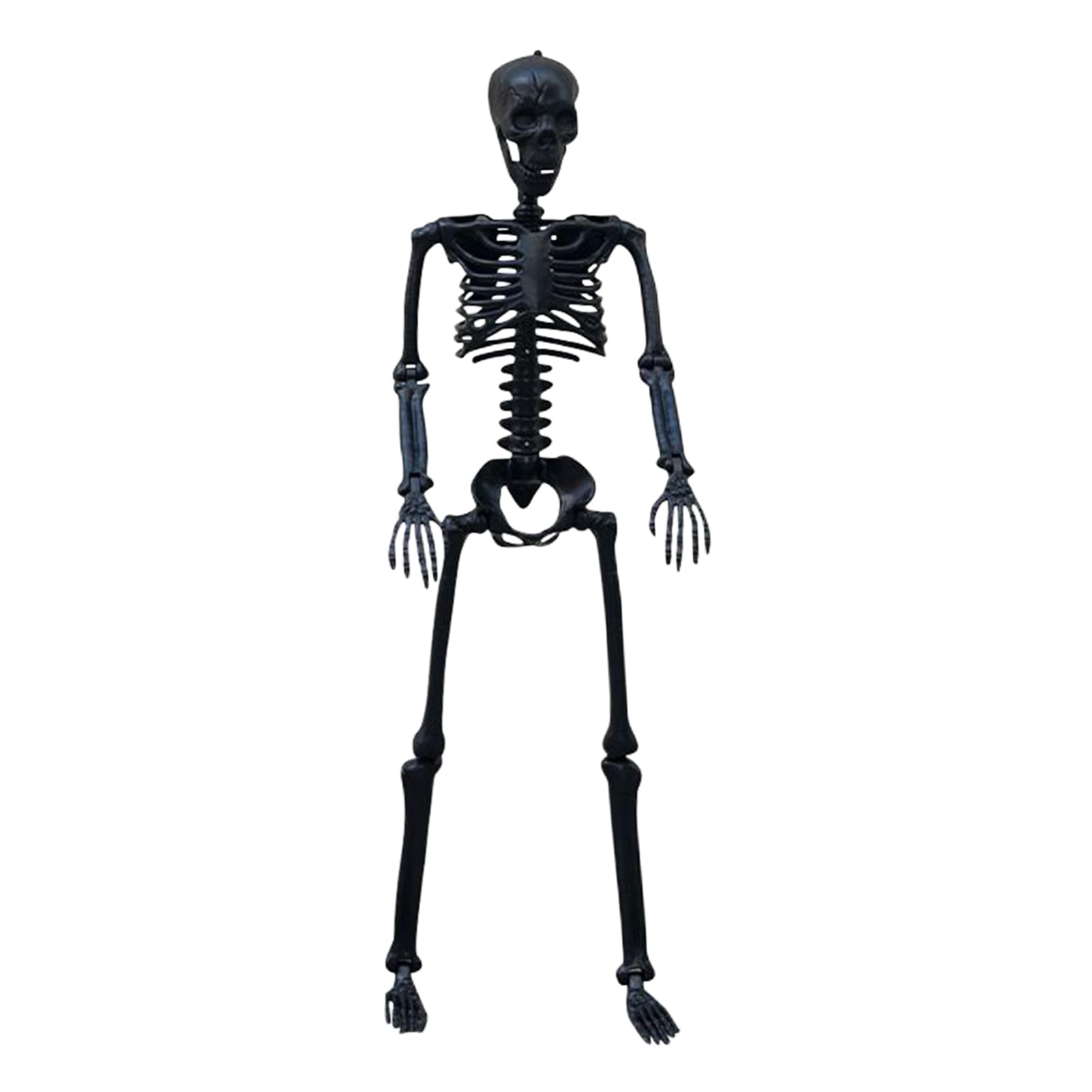 Accessoires de cimetière gothique avec squelette articulé de pelouse