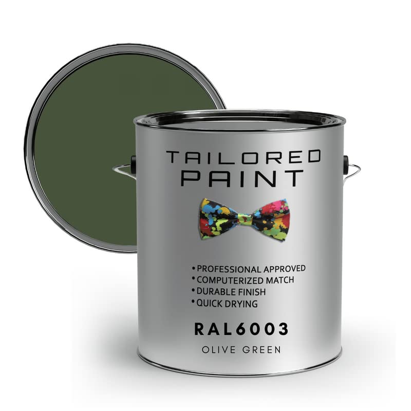 RAL6003 Olive Green 100ml Direct To Metal 1k Brush or Spray On Paint Gloss Smooth Finish Exterior & Interior (All-in-One Primer, Undercoat & Topcoat - Corrosion & Rust Resistant)