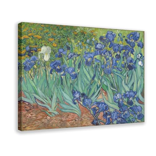 Impression sur toile Vincent Van Gogh Irises décoration murale 30x45cm