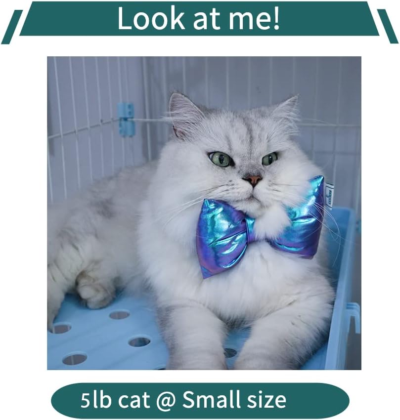 Dog Detachable Bowtie Collar; Adjustable Bow Collar for Cats and Puppies; Medium and Large for Dogs(Small, Blue Bowtie Collar)