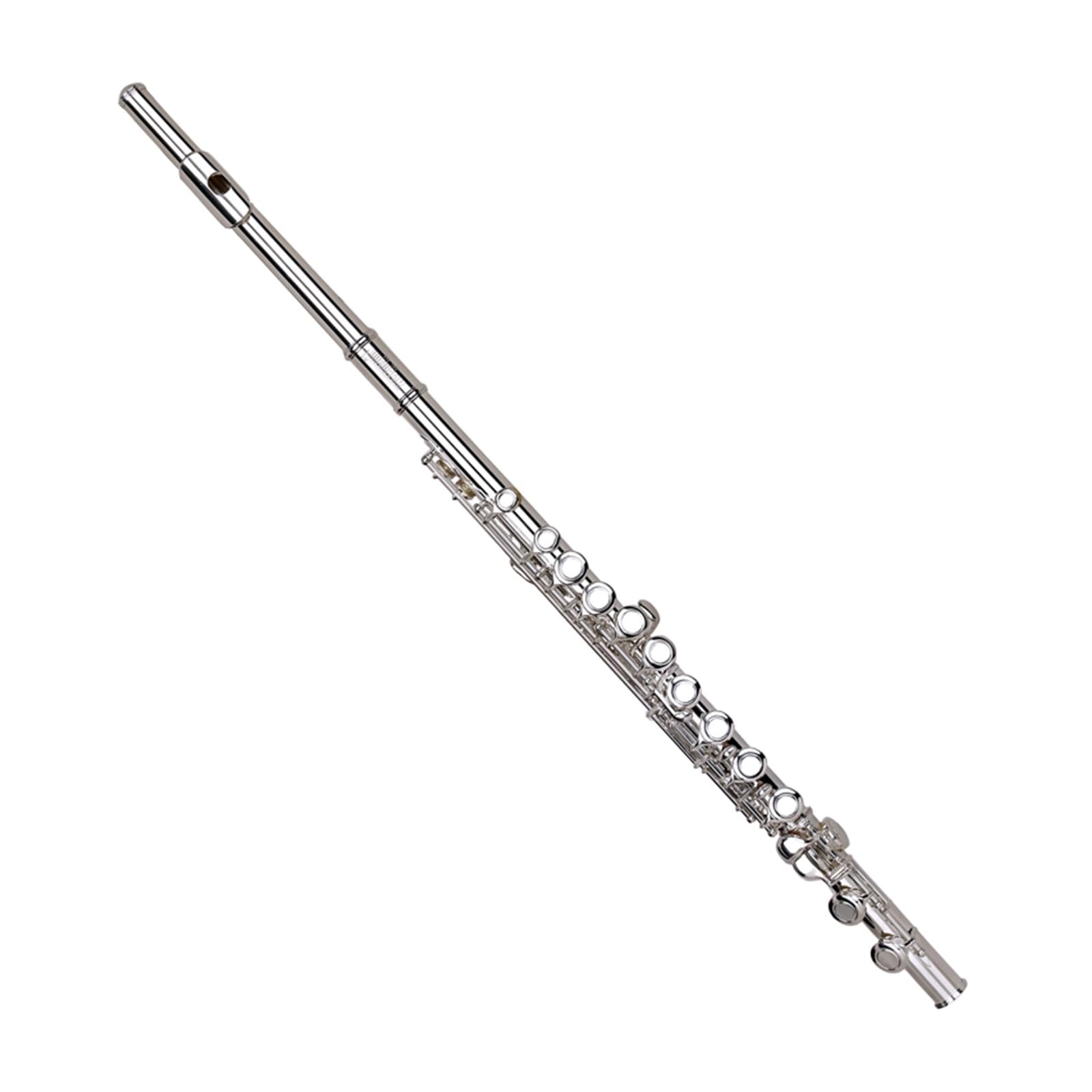 flûte Flûte à 16 trous instrument à trou fermé performance professionnelle pour débutant