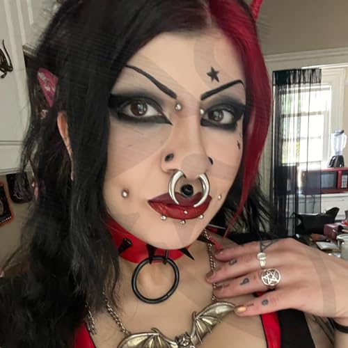 ZS 2Pcs Pincher Tapers Septum Rings, 2G 4G 6G 8G 10G 14G 16G Buffalo Horseshoe Stretcher Expander Piercing for Stretching Pierced Nose Ear Gauge2