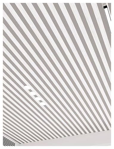 3DSV^CǃplArO[AQAItBX̓Vƕǂ̑ɍœKȖhPVCNbfBO(Gray,6-pack)