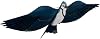 Assembled Blue Jay Bird Kite, Wind Sock