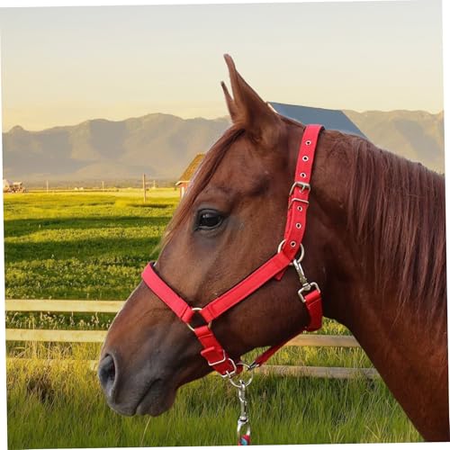 Cabestros para caballos de cuerda ajustables con correas de PP gruesas 6